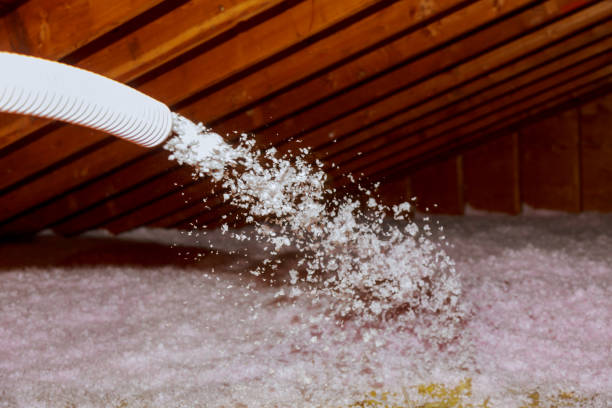 Best Professional Insulation Contractor  in Claremont, NC