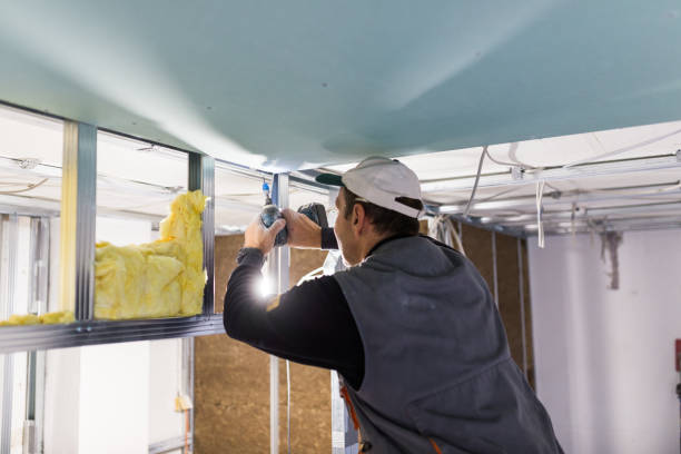 Best Spray Foam Insulation  in Claremont, NC