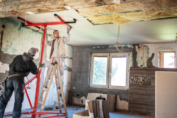 Best Insulation Contractor Near Me  in Claremont, NC