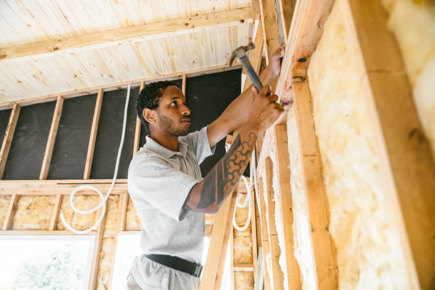 Best Insulation Inspection Services  in Claremont, NC
