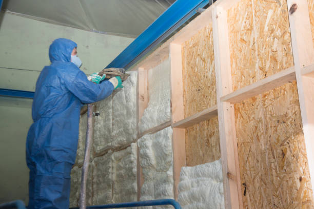 Best Home Insulation Services  in Claremont, NC