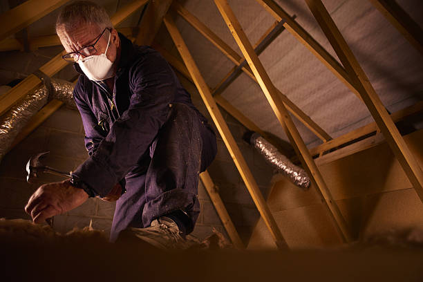 Best Blown-in Insulation  in Claremont, NC